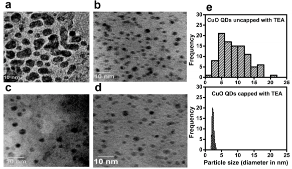 The Applied Nanostructures Engineering and Nanochemistry (ANEN) Research Group